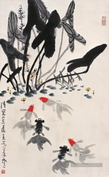  Vieille Tableaux - Wu Zuoren Goldfish et les nénuphars vieille Chine à l’encre